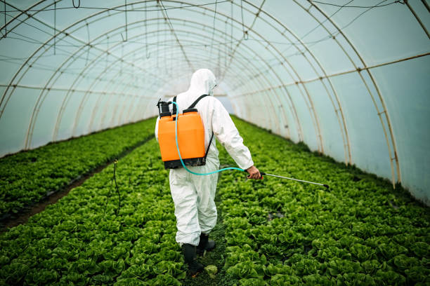 Best Commercial Pest Control Services  in Hico, TX