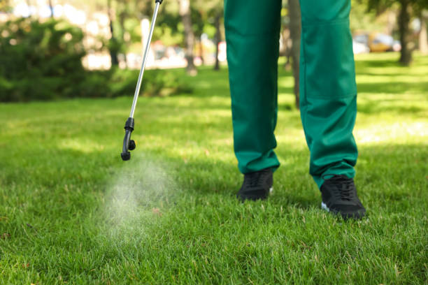 Best Affordable Pest Control Services  in Hico, TX