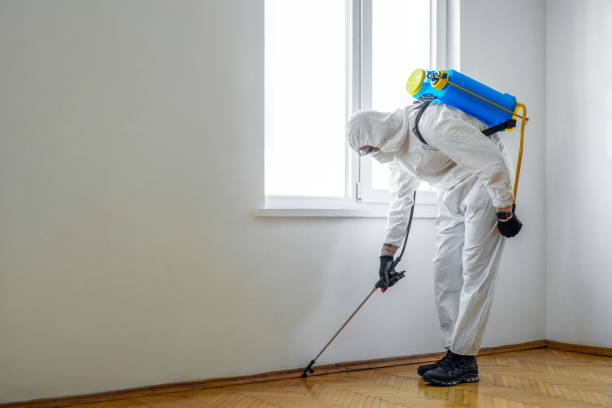 Best Exterminator Services  in Hico, TX