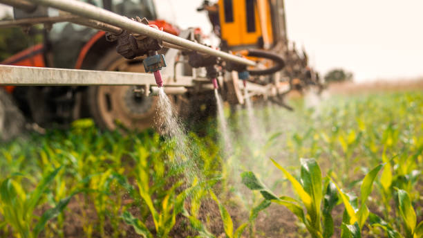 Best Mosquito Control Services  in Hico, TX